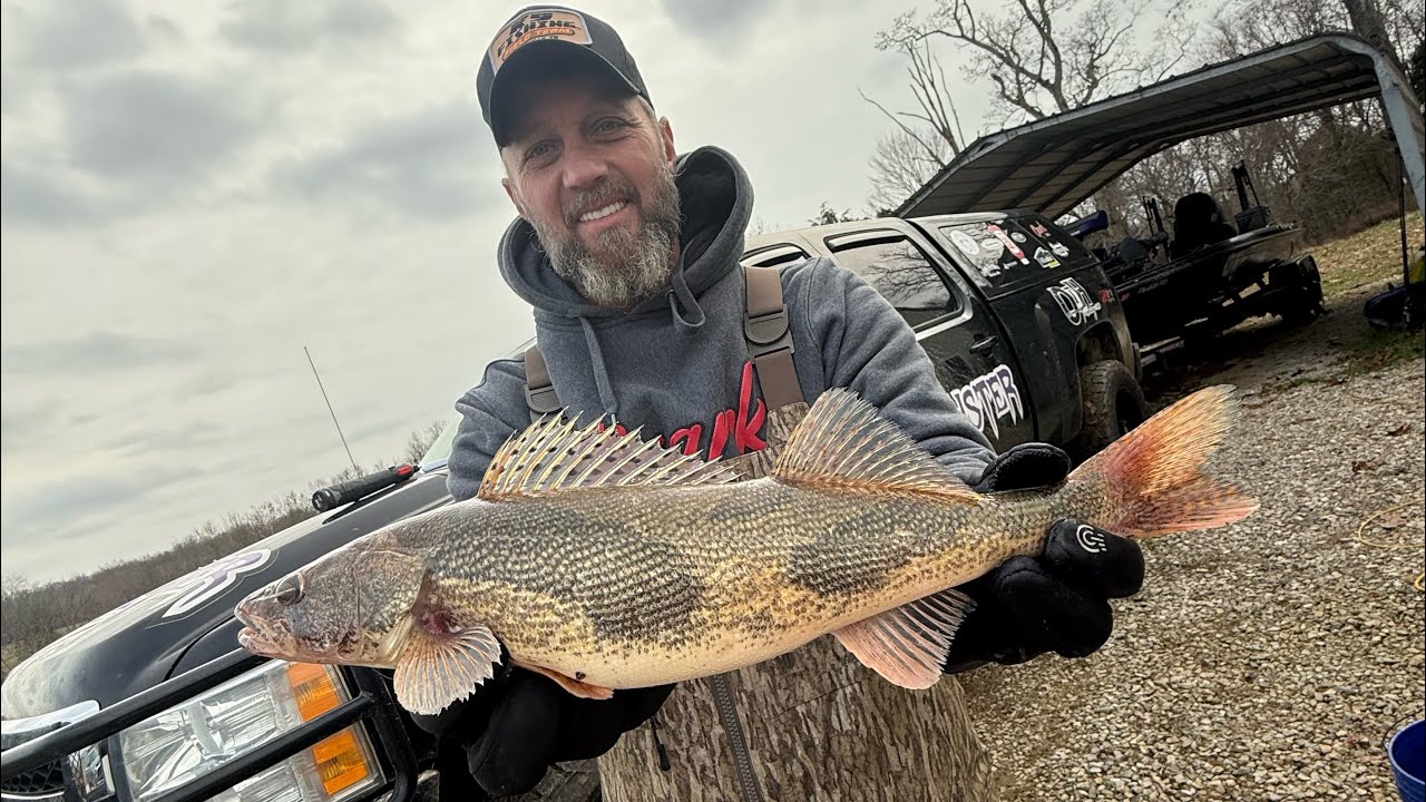 Where to find Sauger