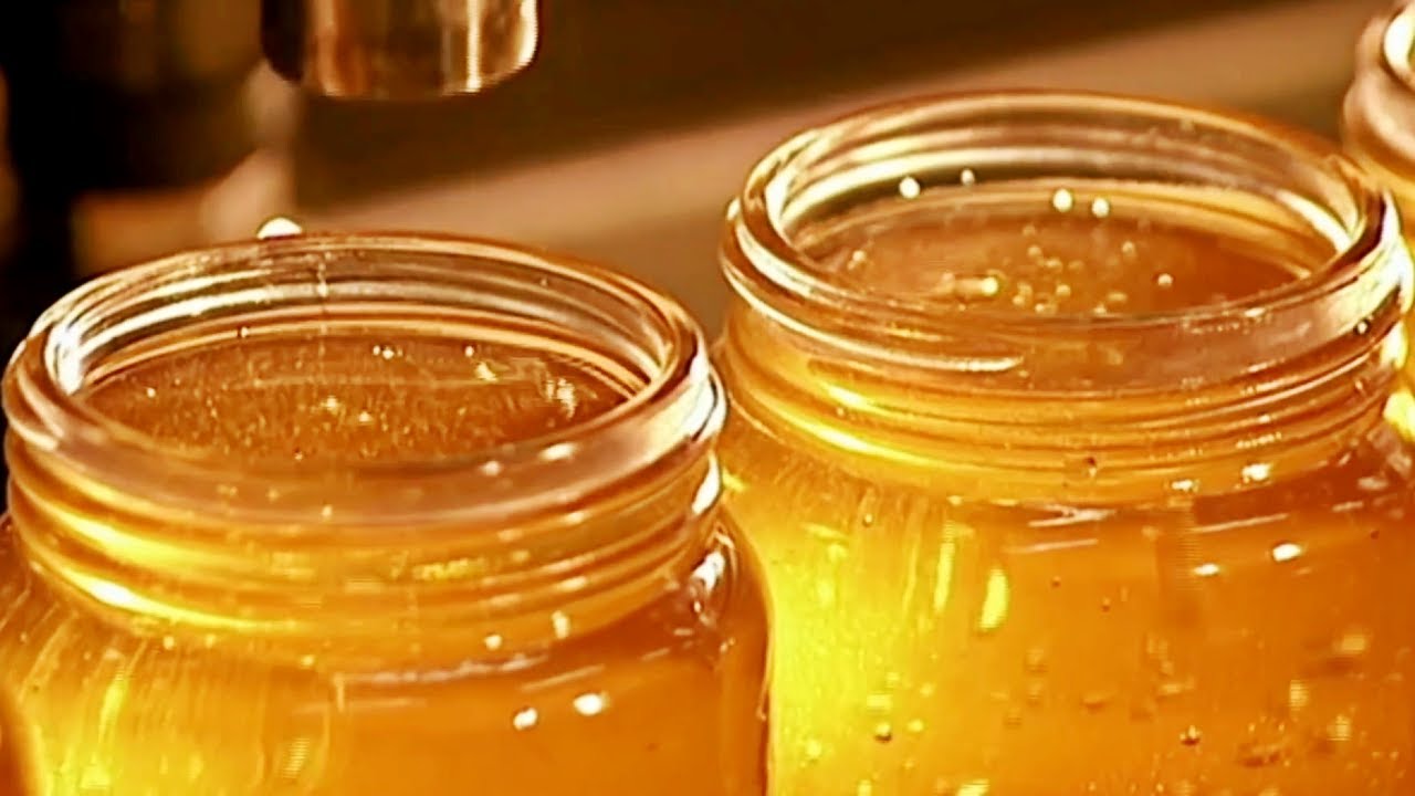 COMO se HACE la MIEL de ABEJA🍯| Como HACEN la MIEL las ABEJAS 🐝
