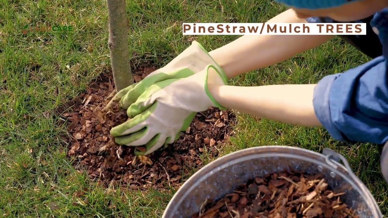 Landscape Management Services by Landcare