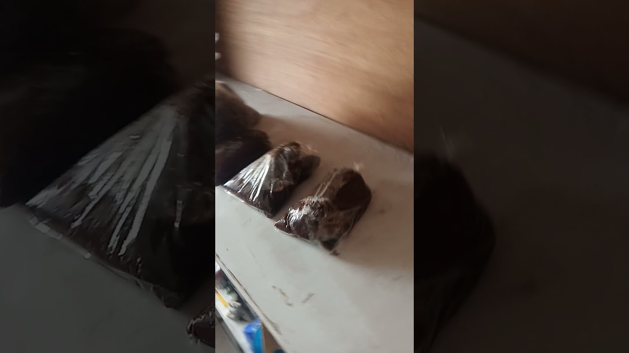 Sell gula merah bali / gula ental