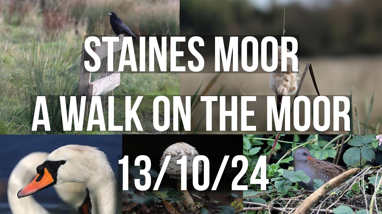 Staines Moor, a walk the moor 13/10/24