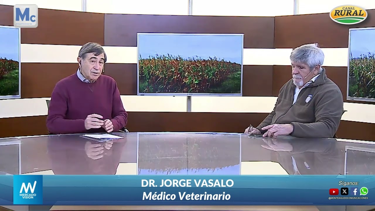 ANEMIA INFECCIOSA EQUINA - ENCEFALOMIELITIS - TRAZABILIDAD