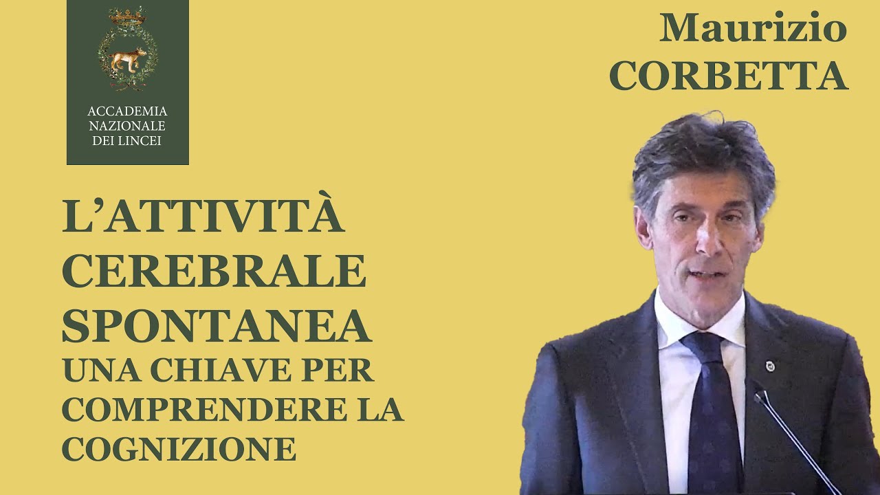 L'attività cerebrale spontanea - Maurizio Corbetta