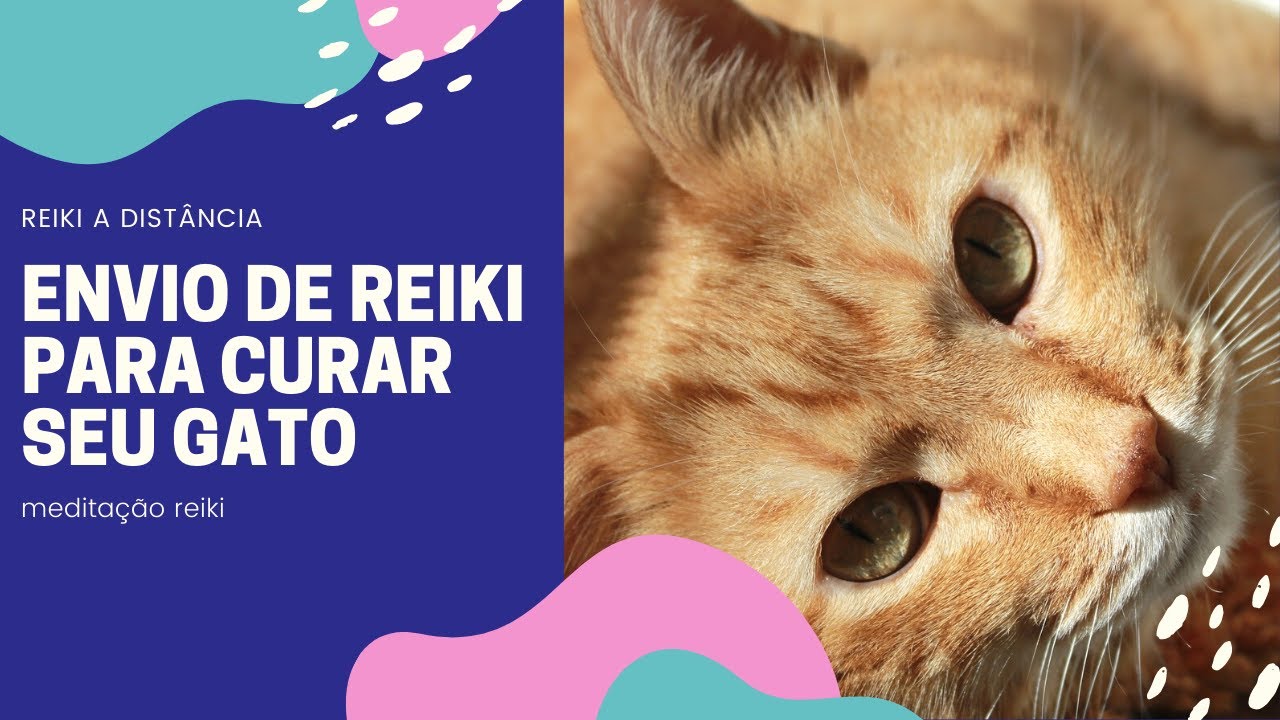 RECEBA REIKI para Curar seu Gato doente  [Reiki a distância]