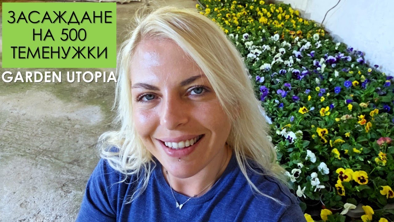 Засаждам 500 ТЕМЕНУЖКИ