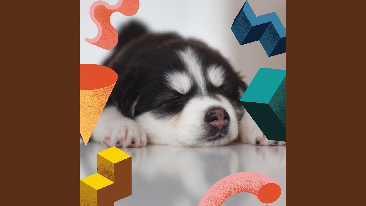 Retro Calm Dogs
