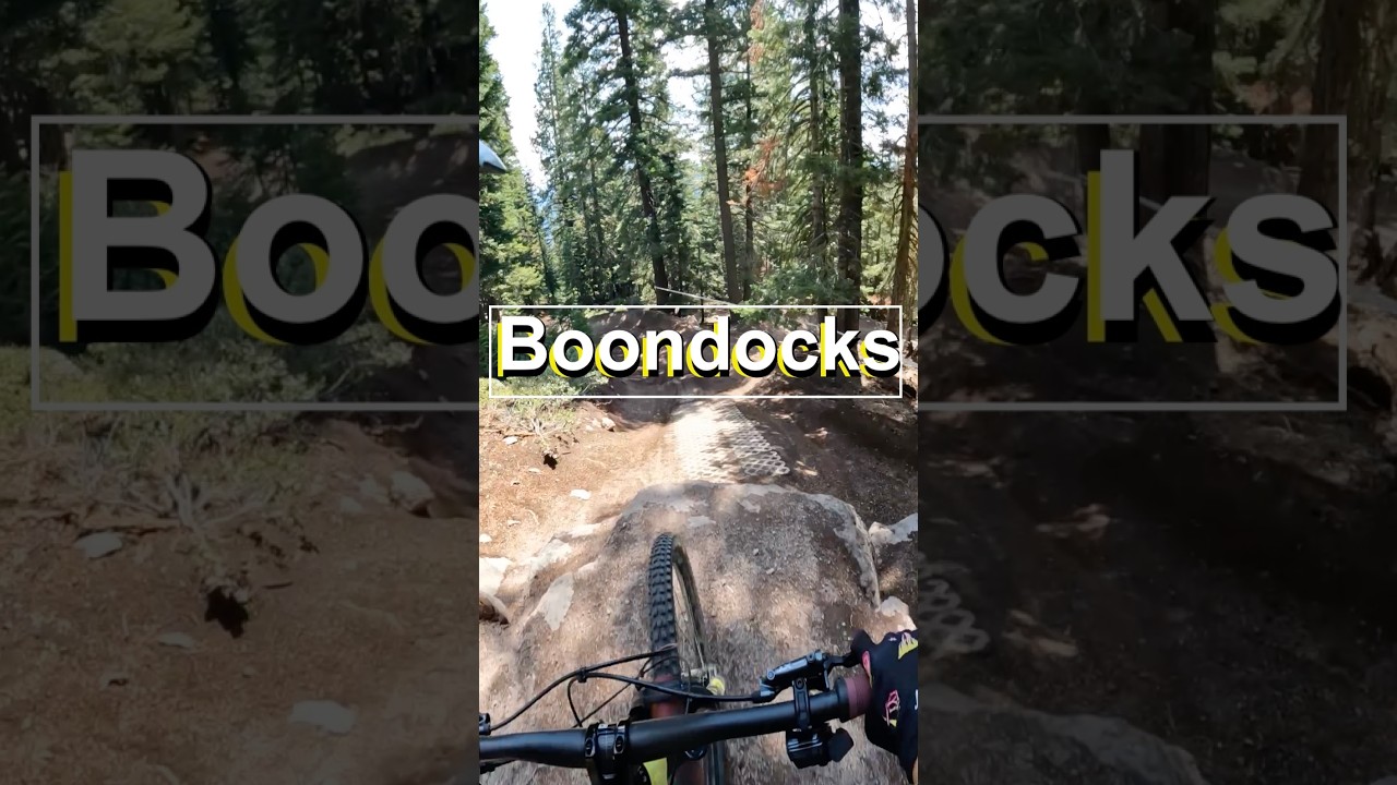 Boondogs, Northstar cali