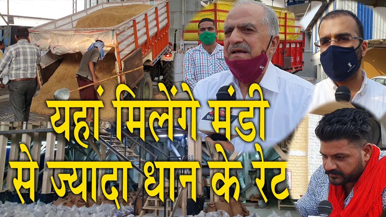 अपनी बारीक धान की फसल यहां बेचने पर मिलेगा मंडी से ज्यादा रेट ! 77869-77869