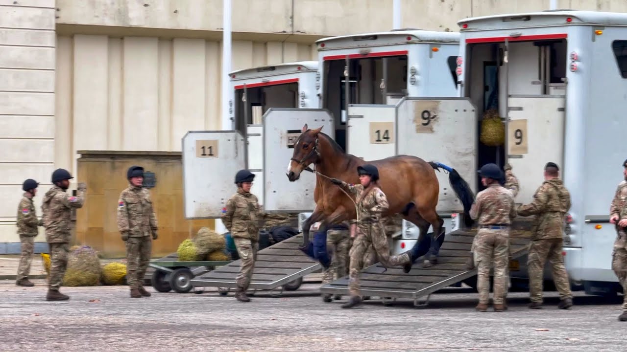 Behind-The-Scenes: Beautiful Horses Arrive at Wellington Barracks | London 