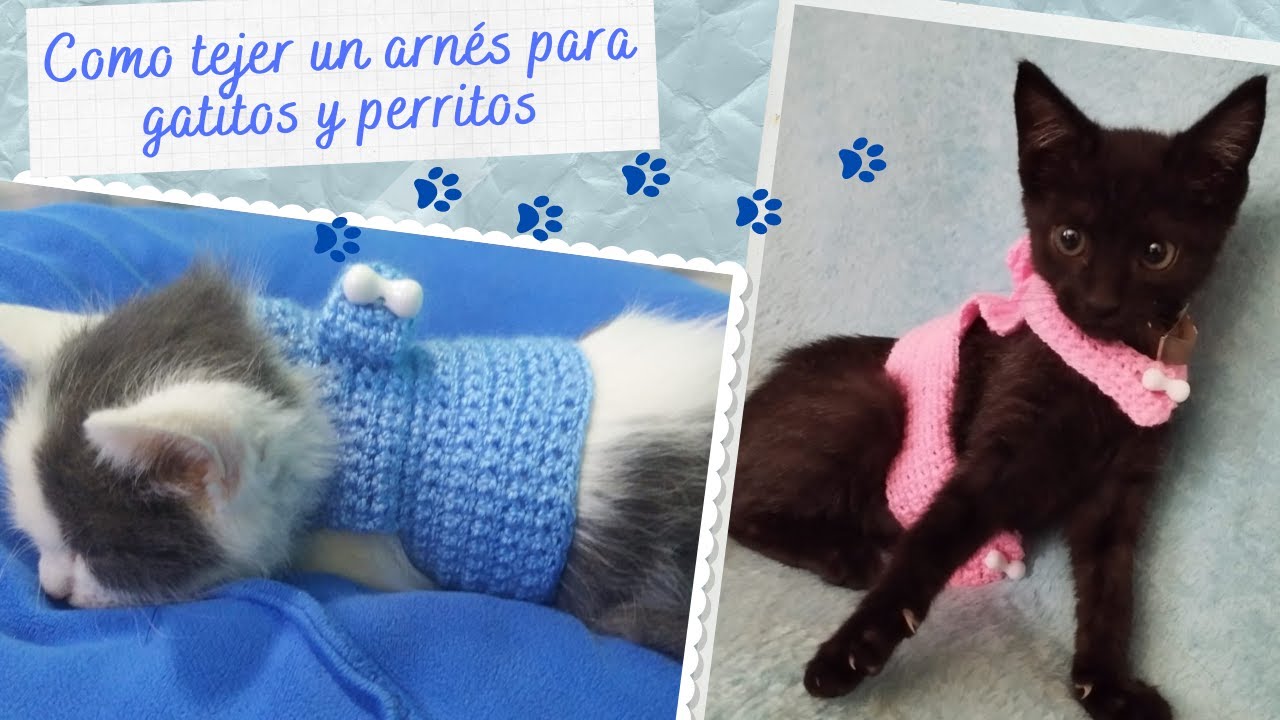 ARNÉS TEJIDO A CROCHET PARA PERRITOS Y GATITOS