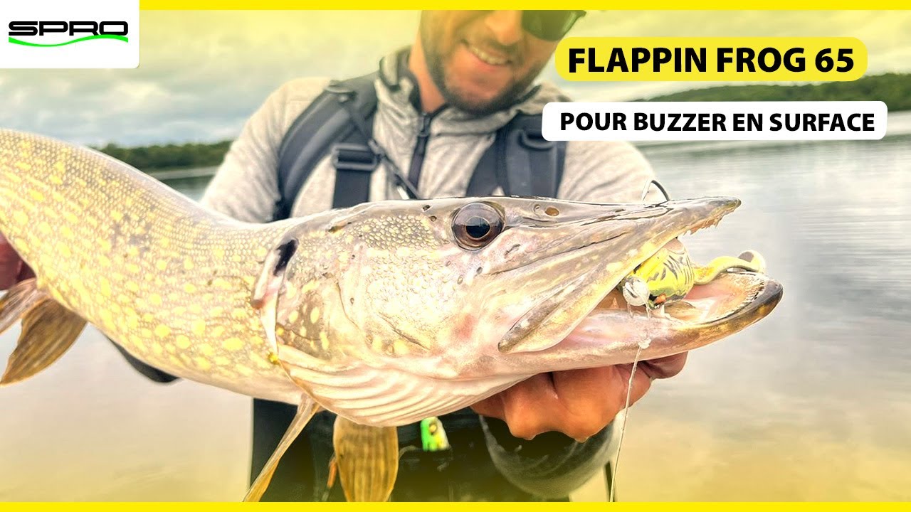 🐸 Flappin Frog 65 &mdash; Faites exploser la surface et &eacute;nervez les brochets !