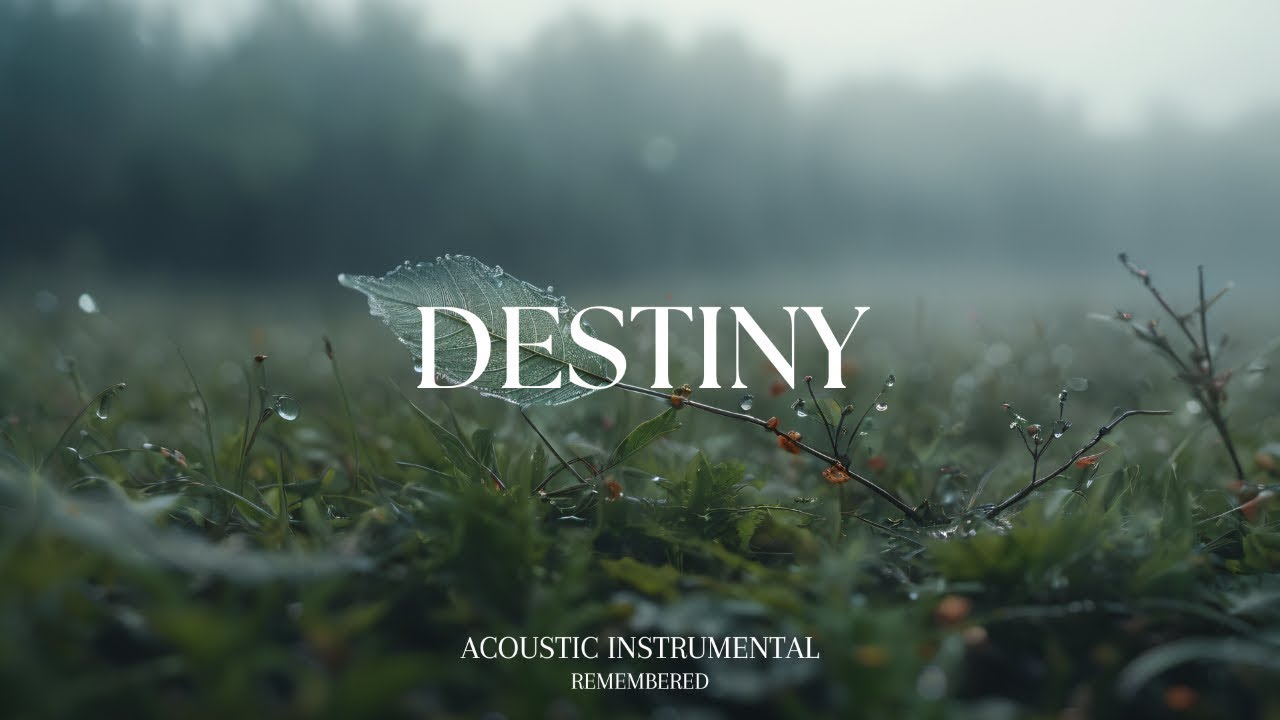 Peaceful Relaxing Guitar | Work Study Read Focus | Morning Air