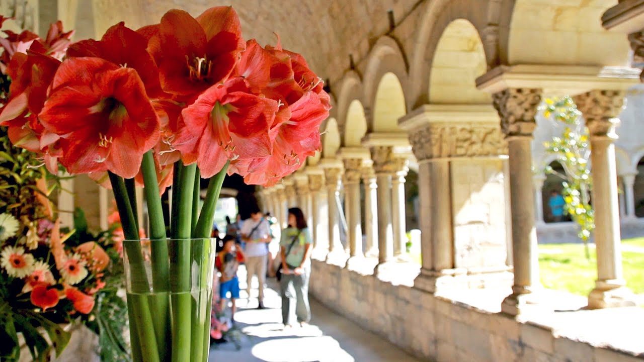 Girona, Temps de Flors / Costa Brava turismo / Tour por la ciudad, flores en las calles