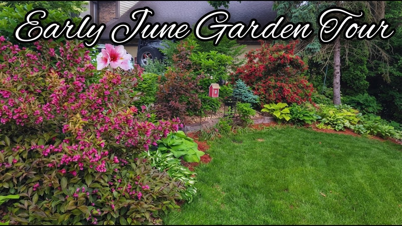 Early June Garden Tour, Minnesota Zone 4b/5a 🌺🌸🌱