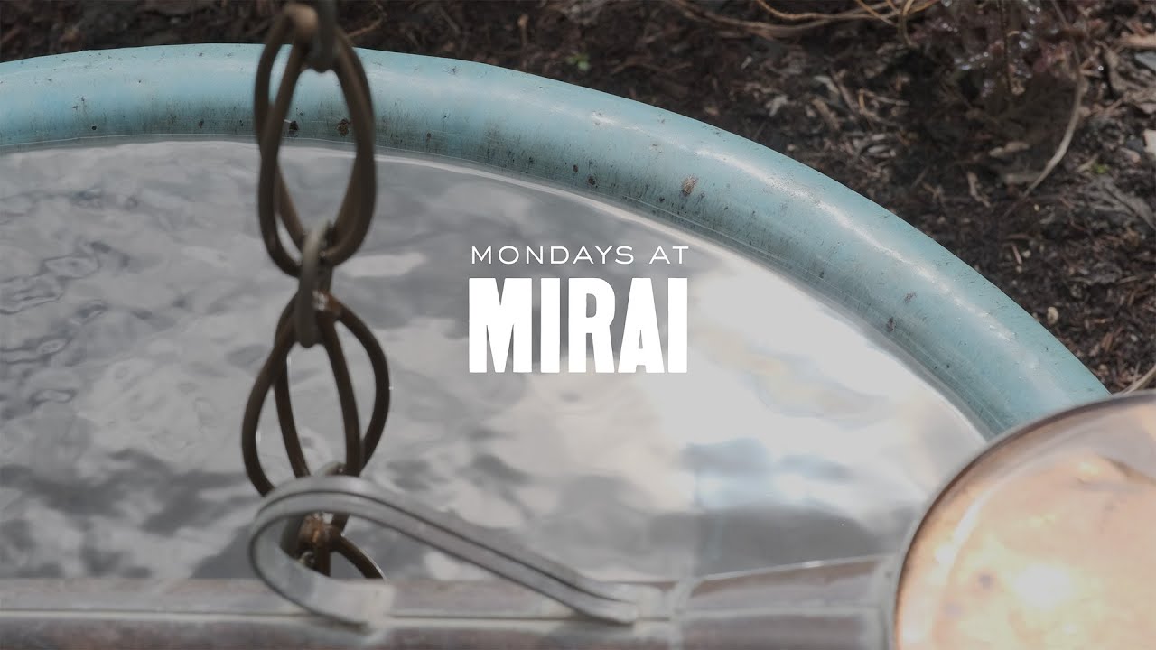 Mondays at Mirai: Quit Bonsai to DJ?