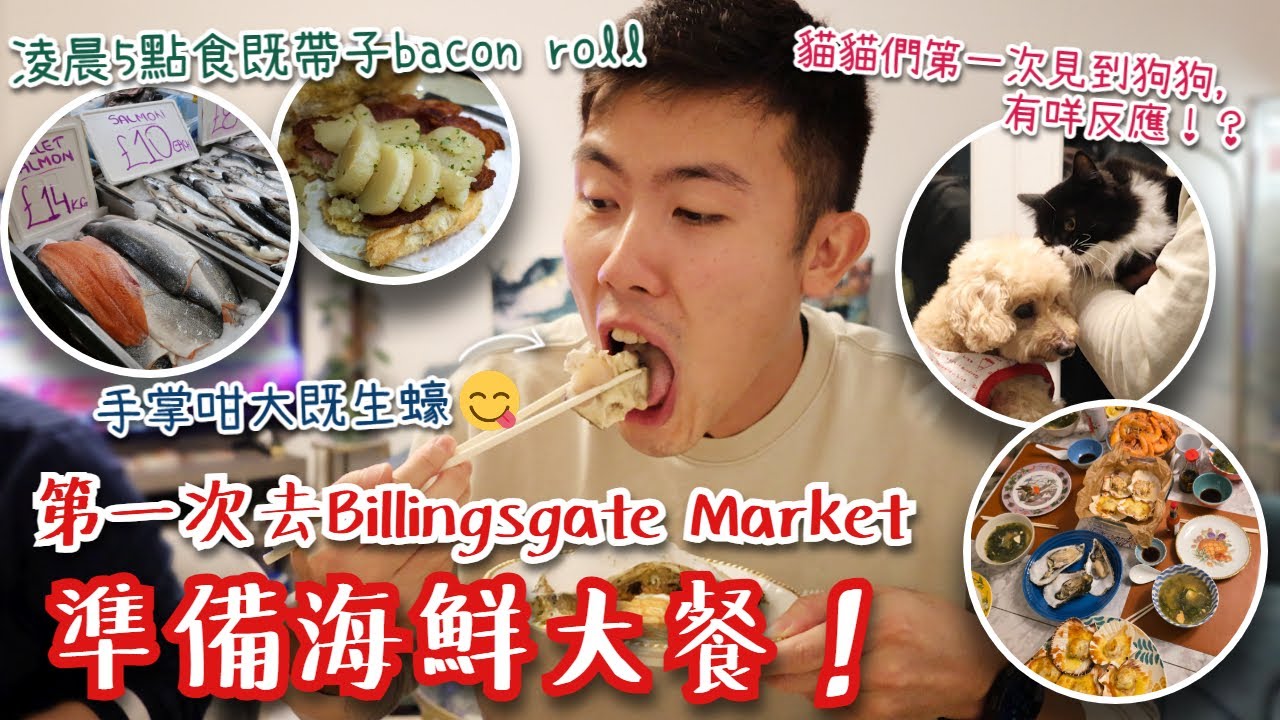 住左係英國三年幾，竟然第一次去Billingsgate市場買海鮮，買左啲咩正海鮮🤩❓貓貓們第一次見到狗狗有咩反應⁉️收到港式錫蘭紅茶膽，完美還原港式奶茶😋 (Feat. HK Teaholic)