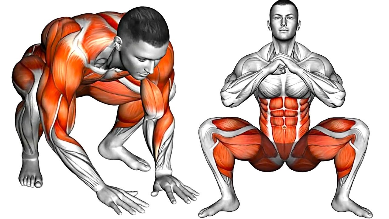 💪 Do These 8 Exercises Every Day and Feel the Difference → To strengthen the pelvic floor