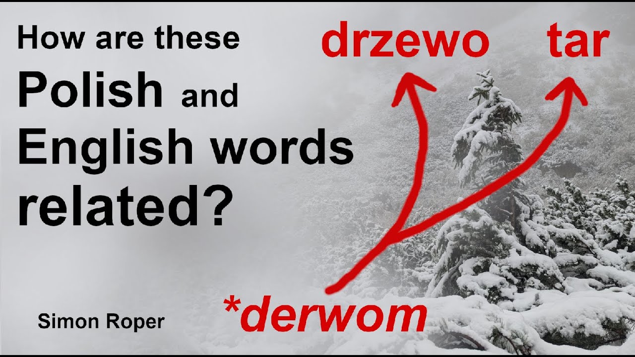 English and Polish: Some Surprising Cognates