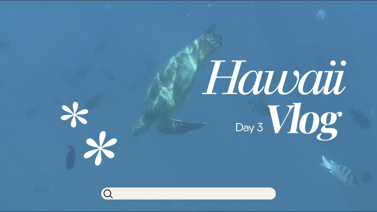 [Hawaii Vlog 🌺Day3] 하와이는 N번째인 세모녀의 10박12일 / 12월 겨울 우기 하와이 / 거북이 스노클링, 와이키키