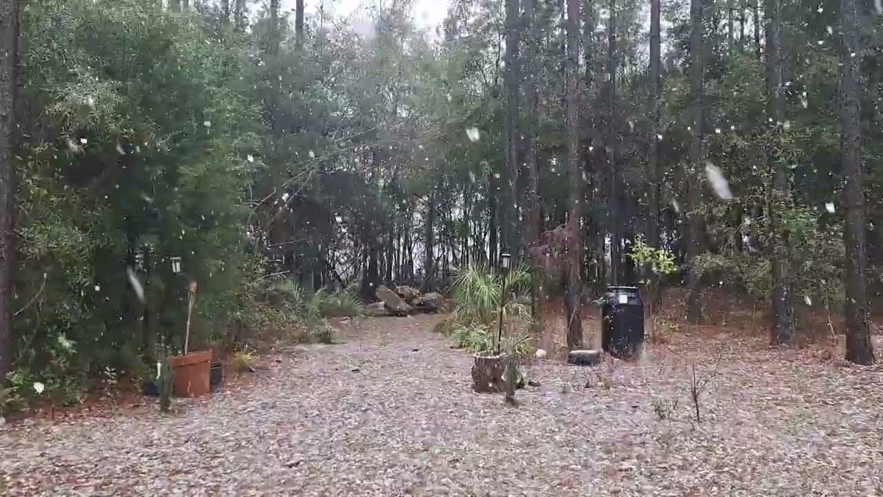 SNOW IN FLORIDA 2026