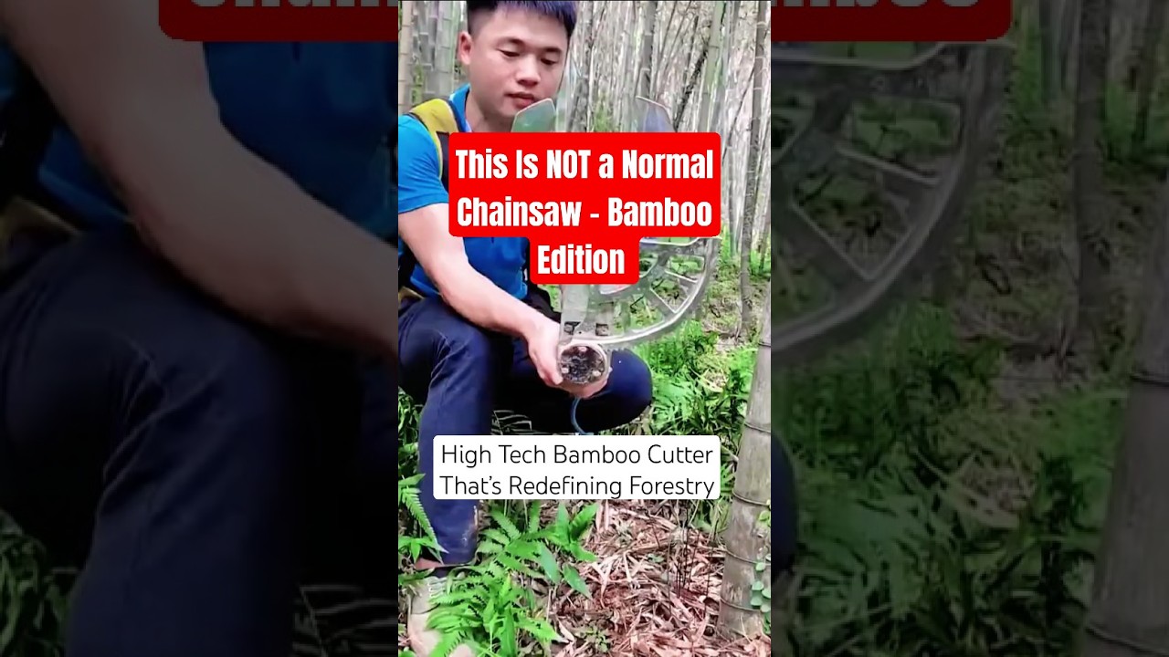 Next Gen Bamboo Cutter Slices Like Butter &ndash; Portable Forestry Innovation