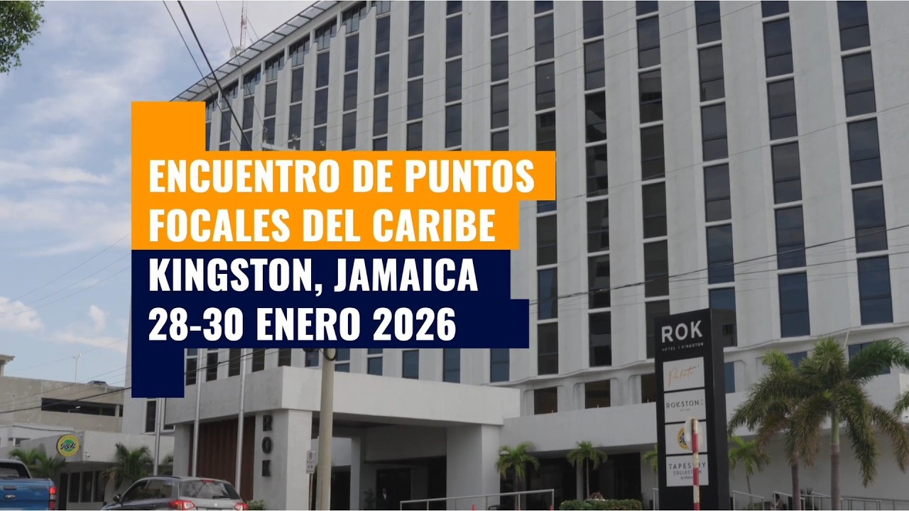 Second Caribbean Focal Points Meeting
