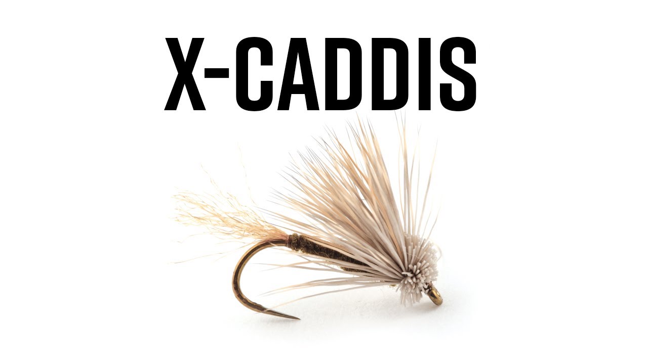 X-Caddis