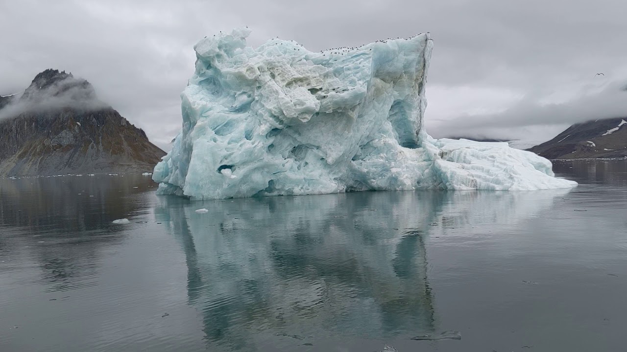 Iceberg in the arctic