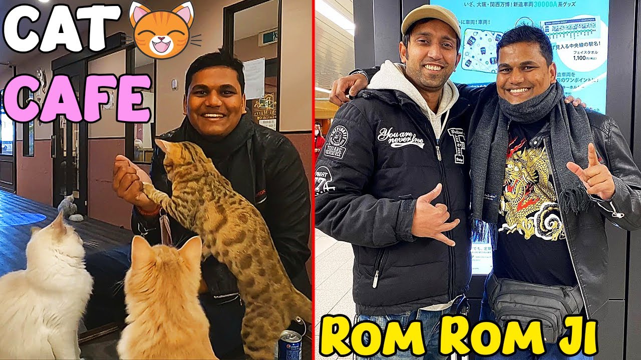The CAT Café and Meeting @RomRomJi (Day 13)