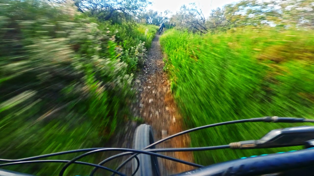 Riding the Scorpion | Santa Monica Mountains