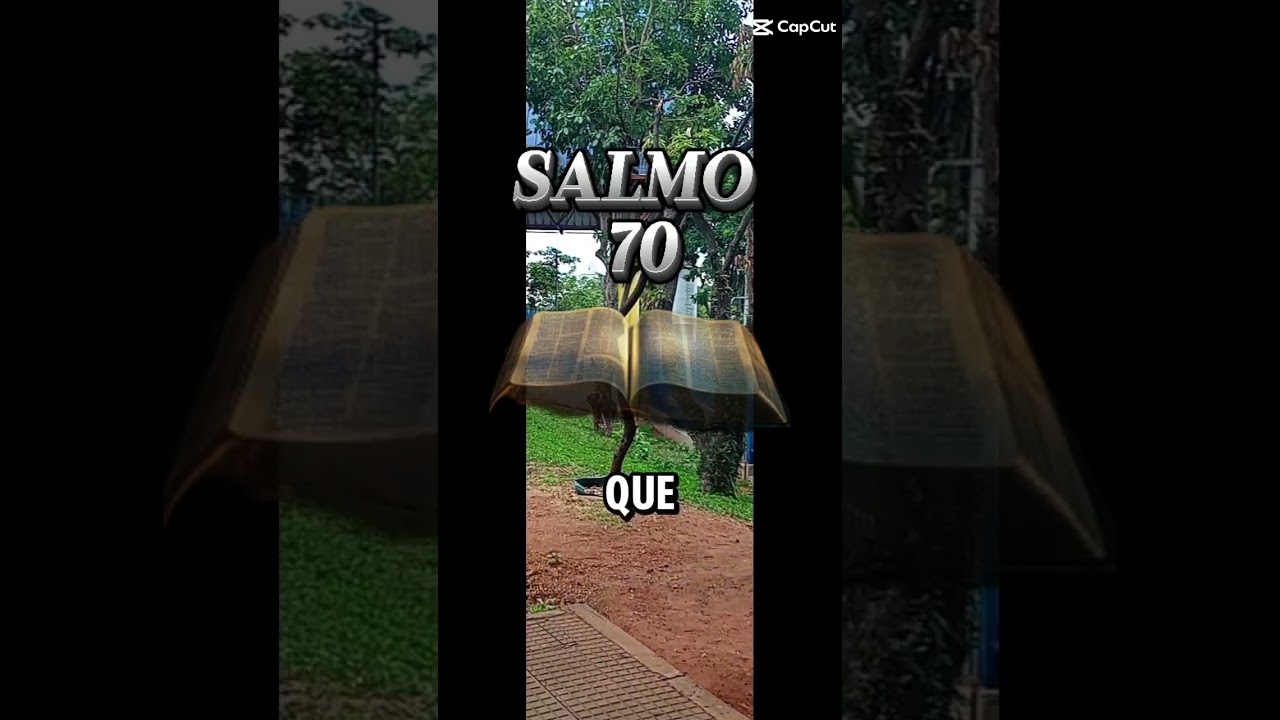 15 de janeiro de 2026