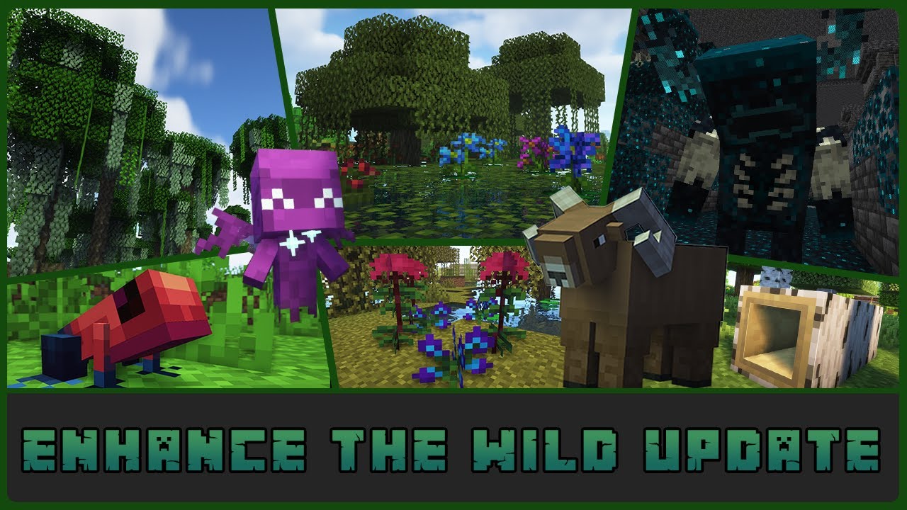 Улучшение обновления Wild с помощью модов