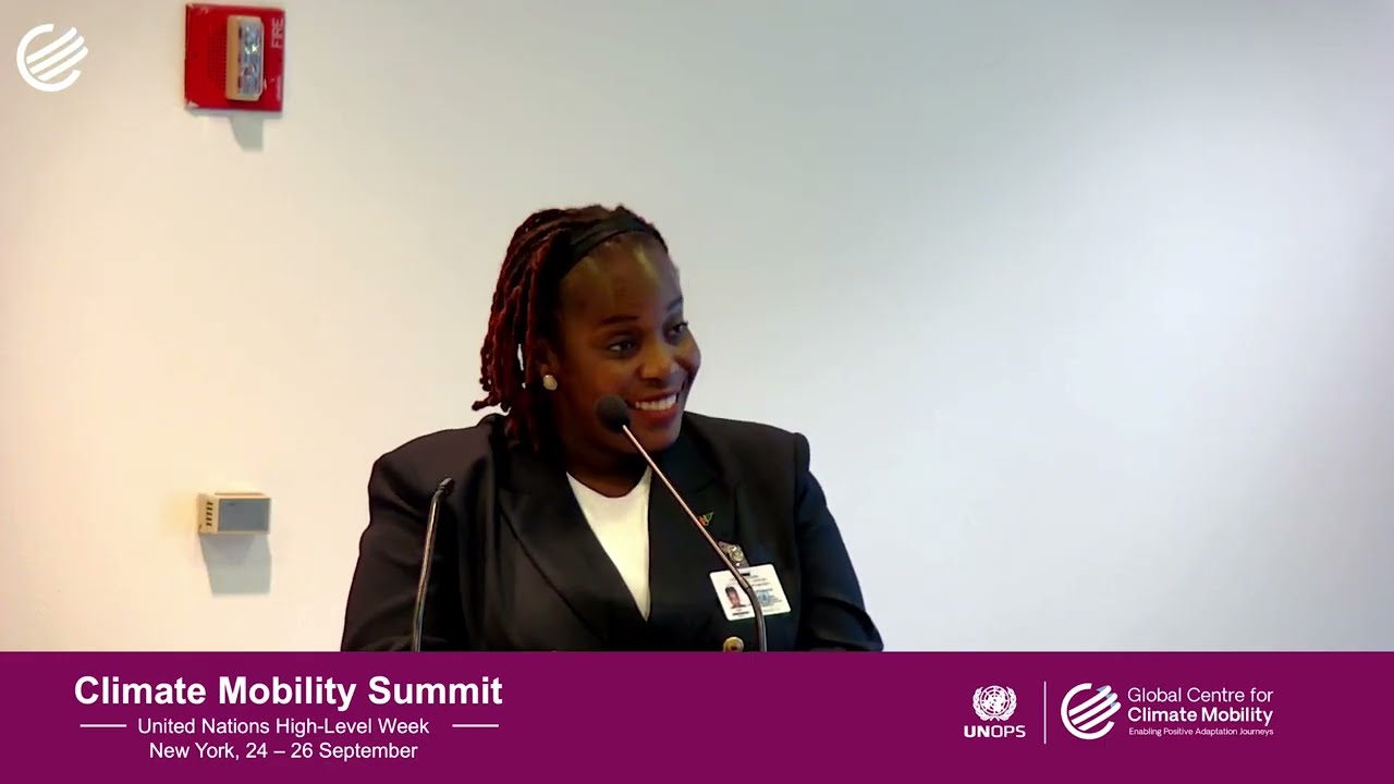 Third Climate Mobility Summit – C-CAF High-Level Reception