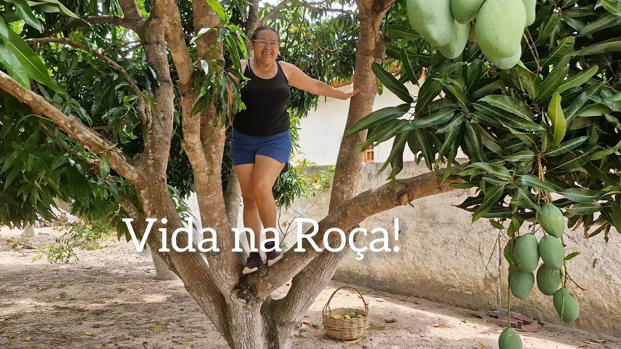 VIDA SIMPLES NA ROÇA:Veja quanta fartura tem nessa chácara!