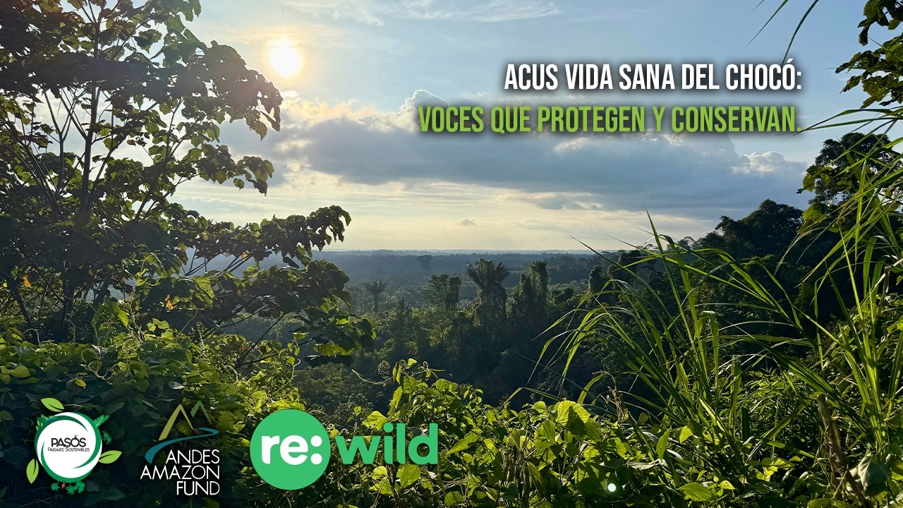 ACUS Vida Sana del Chocó: Voces que Protegen y Conservan.