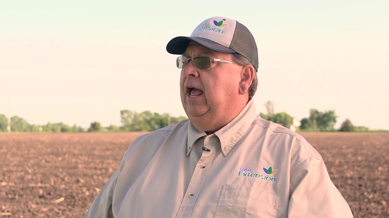 South Dakota Soybean - Best Bean Practice: Roundup Resistance and Management