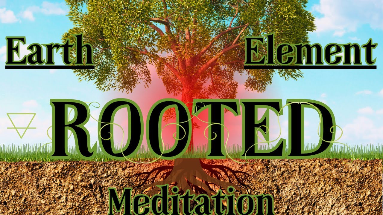 Rooted - Awakening Stability and Safety