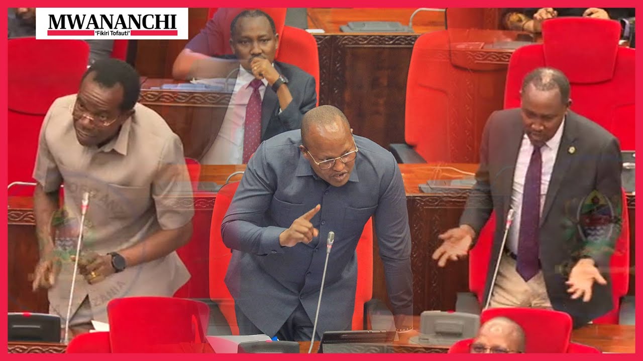 Taarifa zataka kumchanganya Mbunge Lekishon hadi akaomba kiti cha Spika kiingilie kati