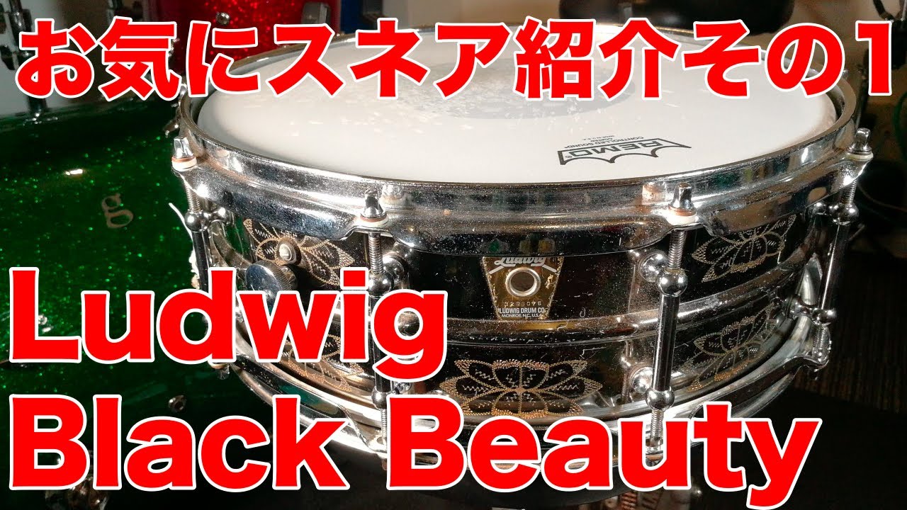 Ludwig Black Beauty / お気に入りスネア紹介その１
