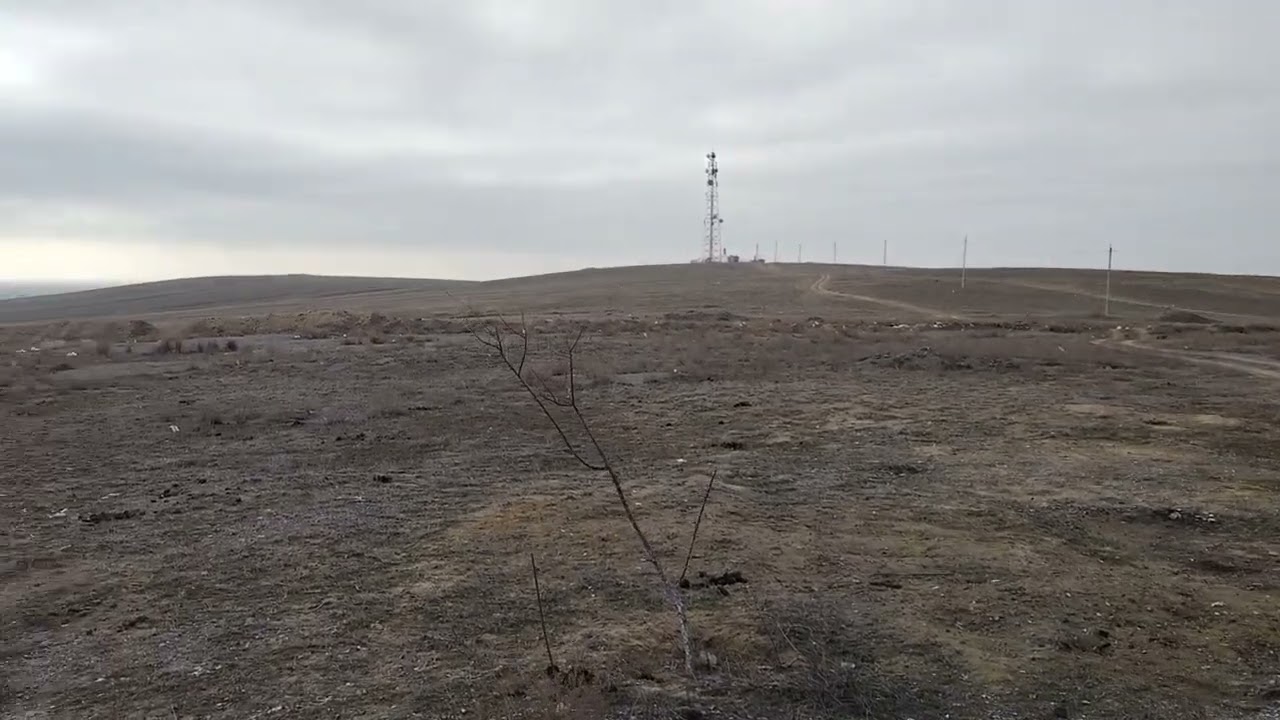 3 марта 2026 г.