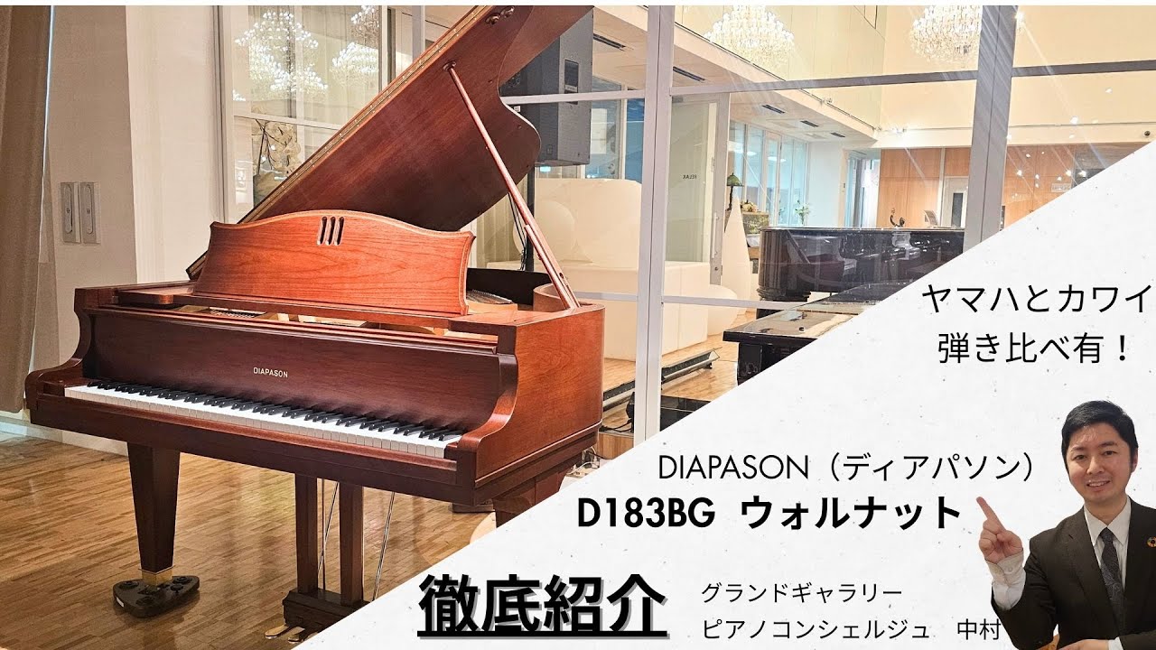 【徹底解説！】【弾き比べ有】DIAPASON(ディアパソン)D183BG　紹介動画