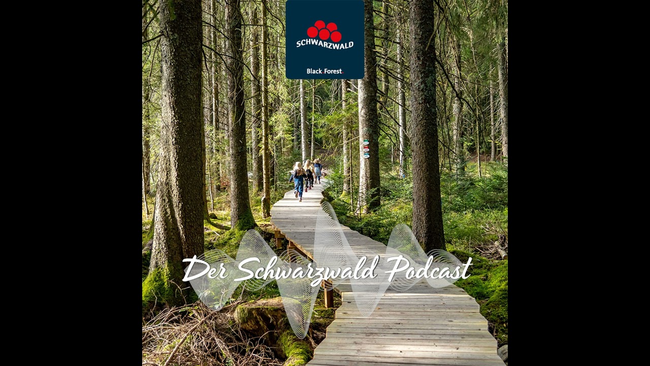 Kinderaction im Schwarzwald