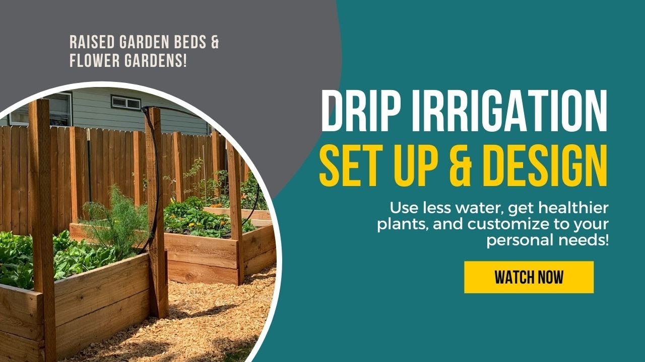 Drip Irrigation (Microdrip) Set Up & Design