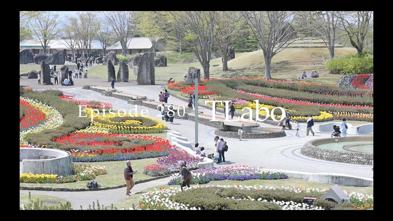 2025年4月　宮城県川崎町　みちのく湖畔公園のチューリップ