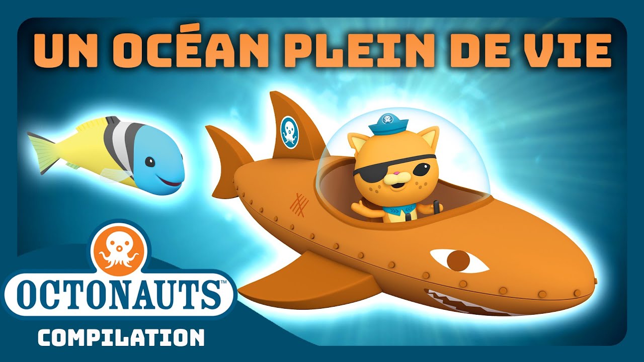 Octonauts - ✨ Un océan plein de vie 🌎 | Compilation | Dessins animés pour enfants