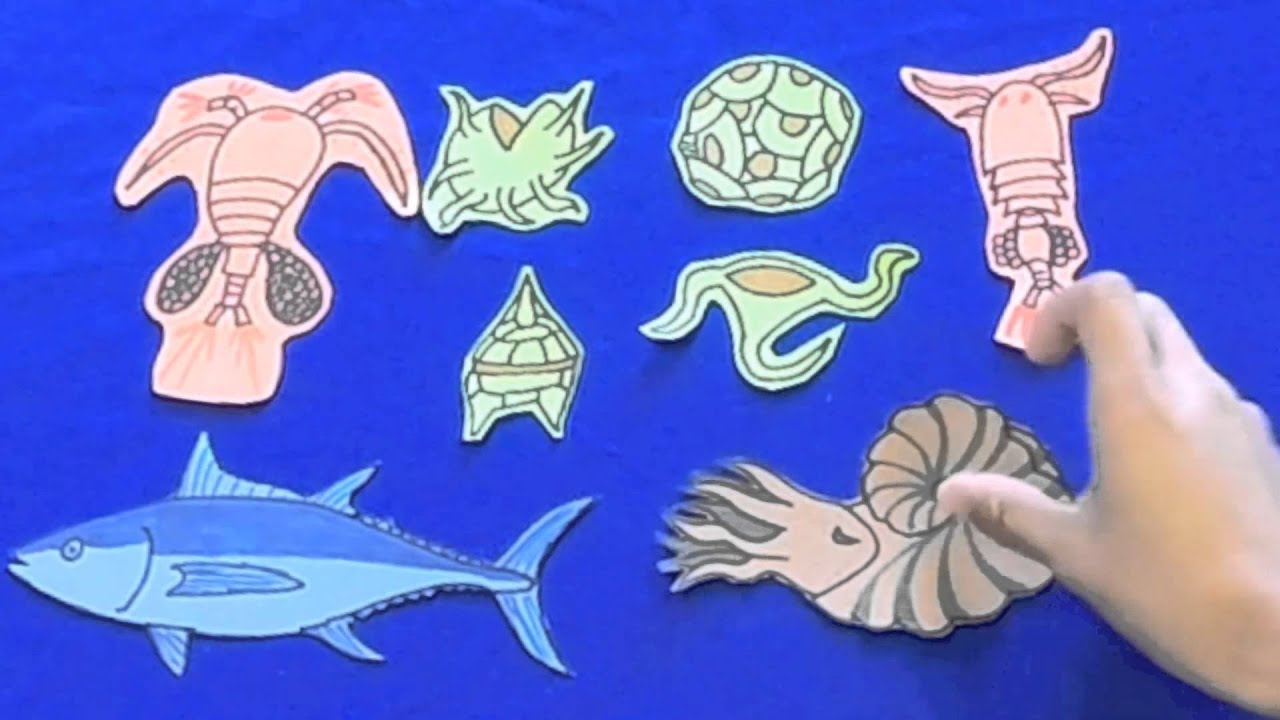 The Age Of Fishes