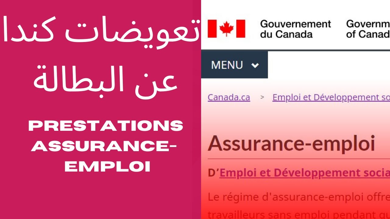 Prestations d'assurance-emploiتعويضات كندا عن البطالة : تعريفها؟شروطها؟مبلغها؟مدة الإستفاذة؟