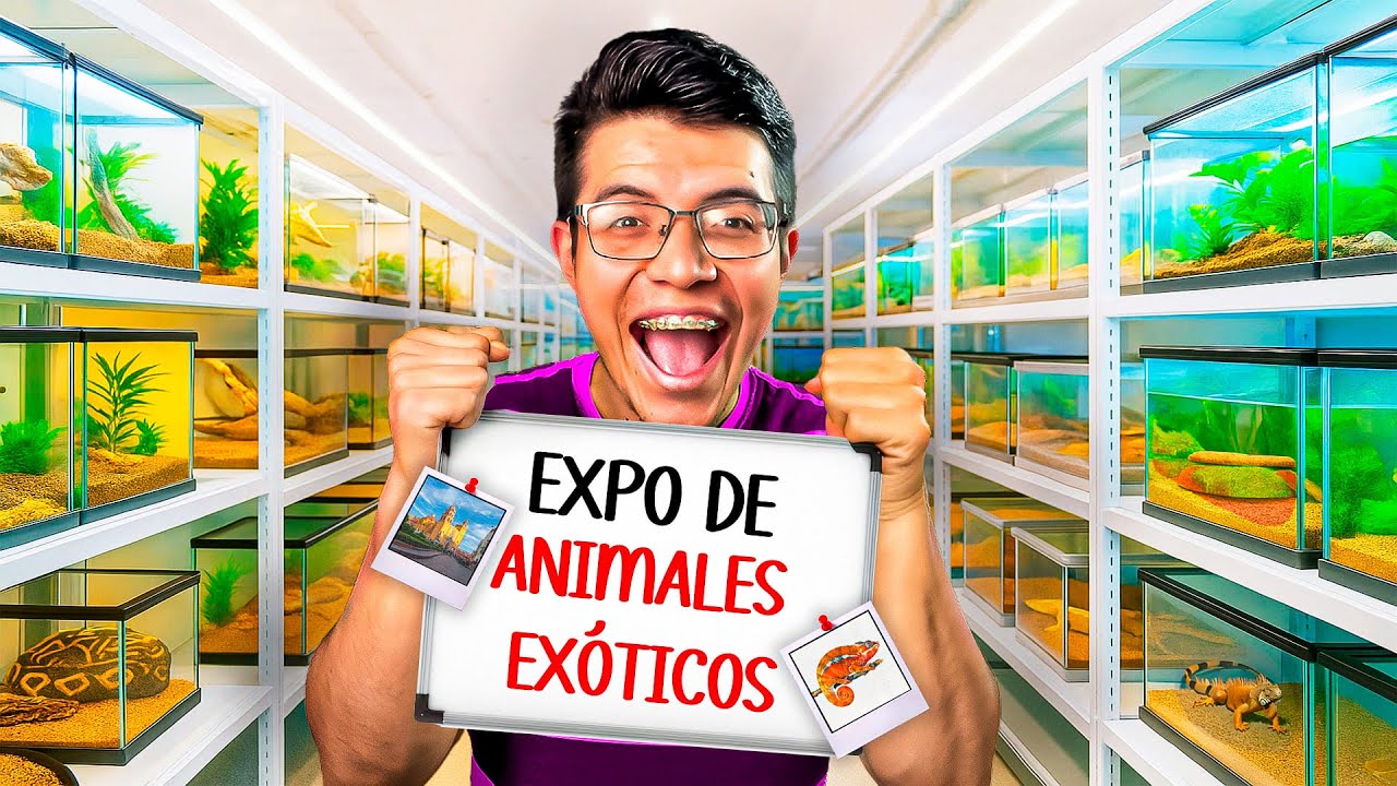 ¡No lo podía creer! 😳 Así son los ANIMALES EXÓTICOS en León