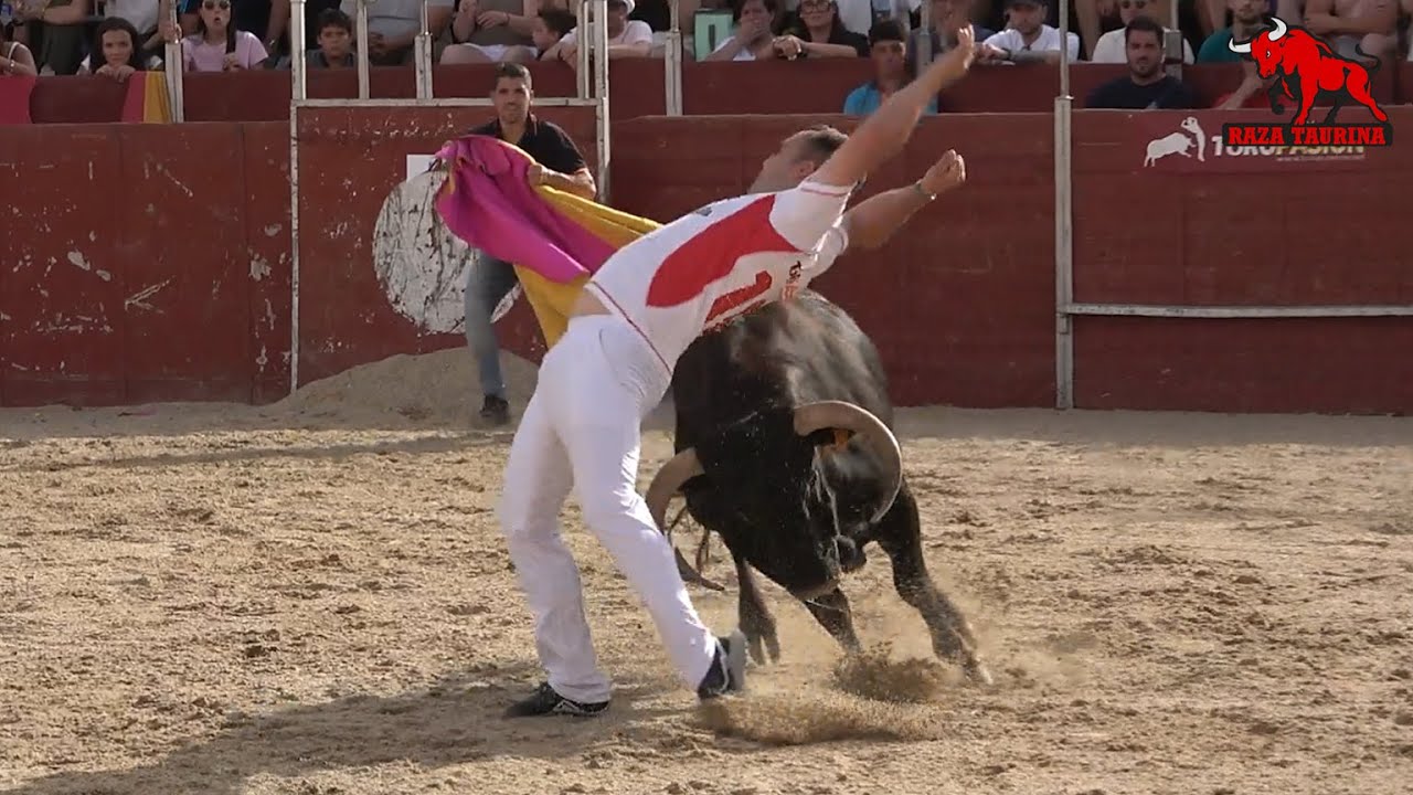 Segunda eliminatoria Liga del Corte Puro. Zaratán. 21 Junio 2025