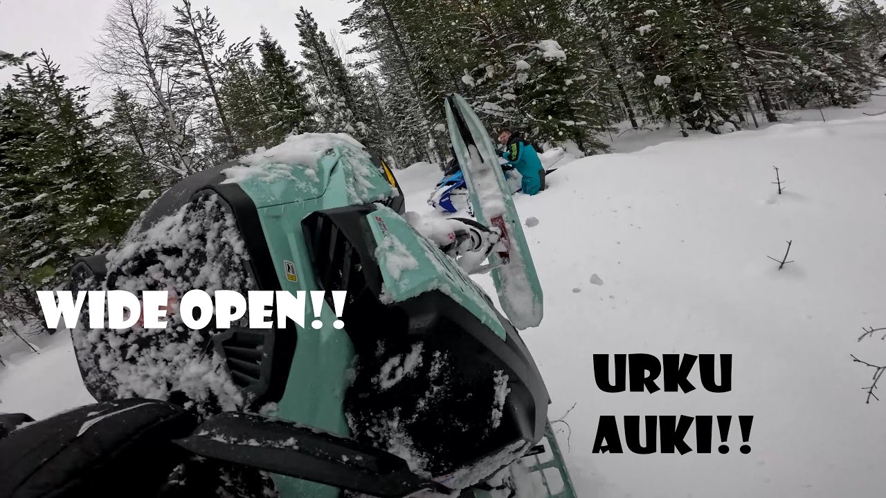 URKU AUKI!  WIDE OPEN!